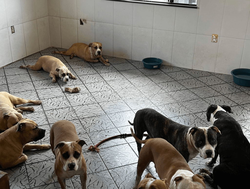 Depama realiza fiscalização no bairro Ponto Novo, em Aracaju