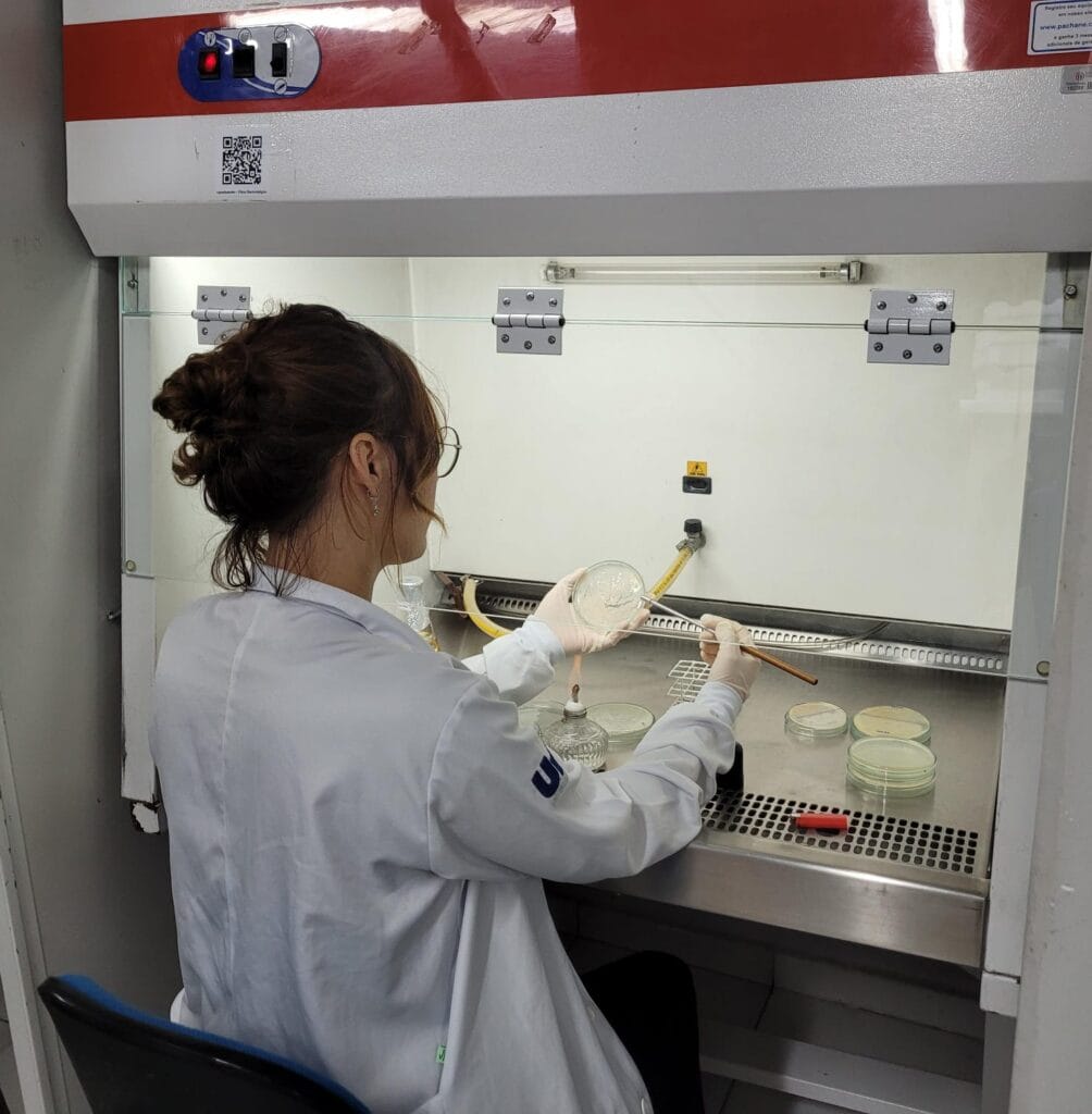 Bactérias no combate ao câncer? Estudo aponta novos caminhos para tratamentos 