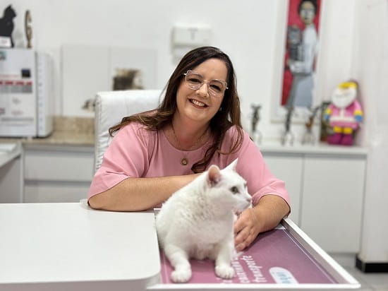 Dia Mundial do Gato: especialista explica como garantir o bem-estar do seu felino
