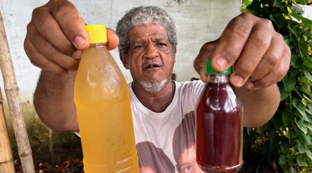 Produtor de Malhador promove a integração entre criação de abelhas e plantações com auxílio do Governo