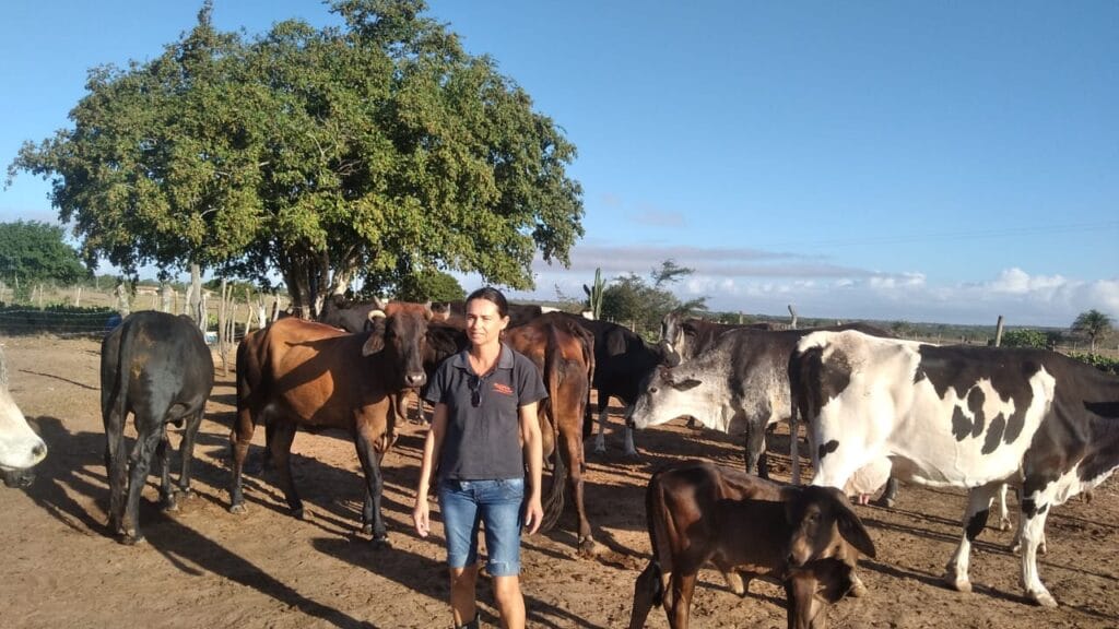 Produção de leite em Sergipe é a que mais cresce no Nordeste