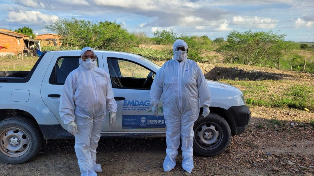 Suspeita de gripe aviária em Graccho Cardoso é descartada e Emdagro reforça ações de prevenção em Sergipe