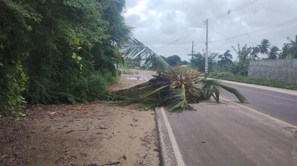 Prefeitura de Aracaju divulga boletim sobre ocorrências relacionadas às chuvas na capital