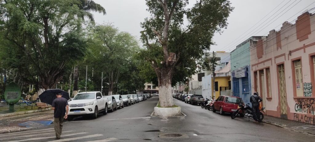 Academia sede