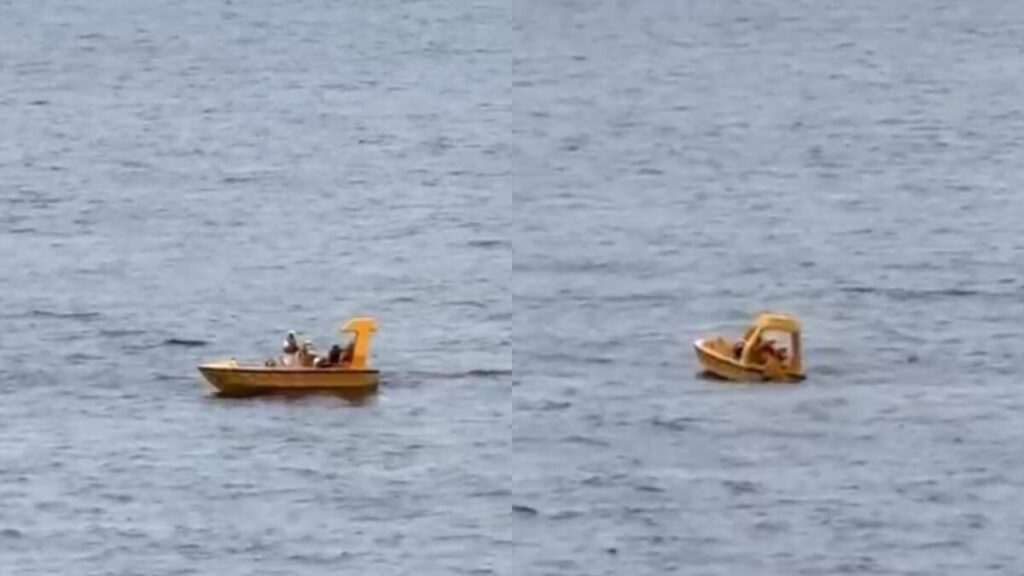 Vídeo: Pai pula de cruzeiro da Disney para salvar filha de 4 anos no mar