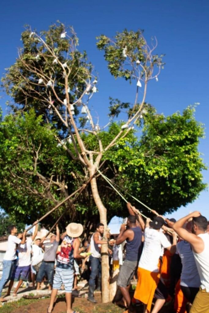 “Reconhecimento nacional da Festa do Mastro fortalece a identidade cultural e o senso de pertencimento do povo de Capela” defende Nitinho