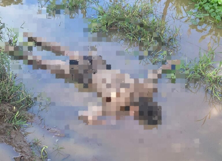 Polícia Civil apreende dois adolescentes por homicídio com requintes de crueldade em Lagarto