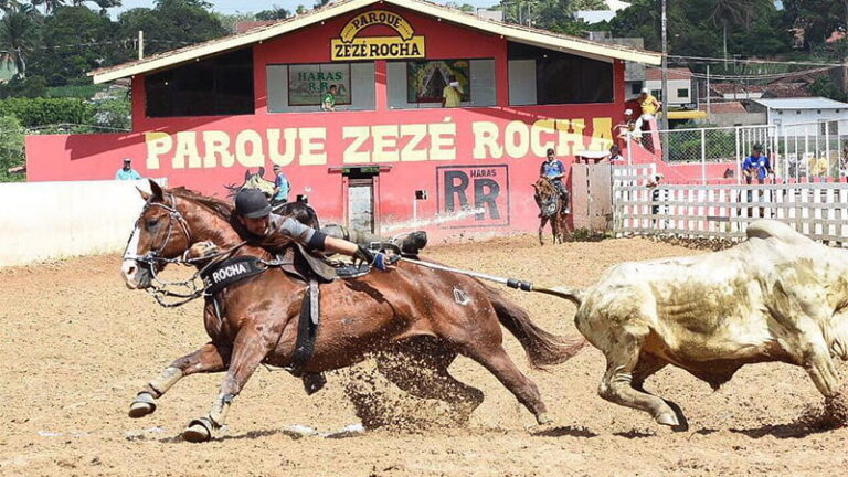 Governador sanciona lei que regulamenta pega de boi no mato, vaquejadas e cavalgadas em sergipe