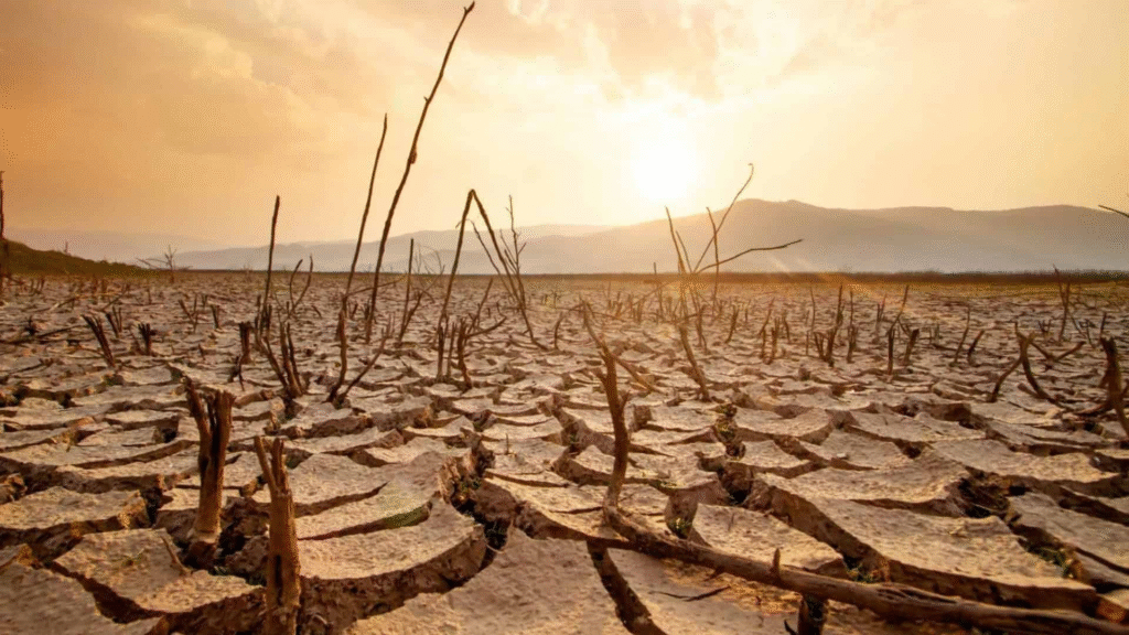 Perda de água doce alcança patamares sem precedentes no planeta