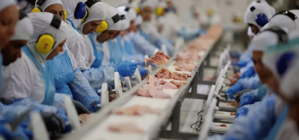7 países desbloqueiam importação de carne de frango do Brasil