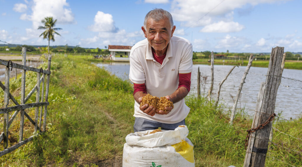 Produtores rurais iniciam plantio do arroz com apoio do programa Sementes do Futuro