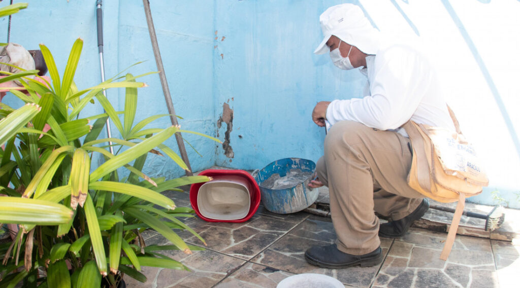 Nove municípios sergipanos estão com alto índice de infestação do Aedes aegypti