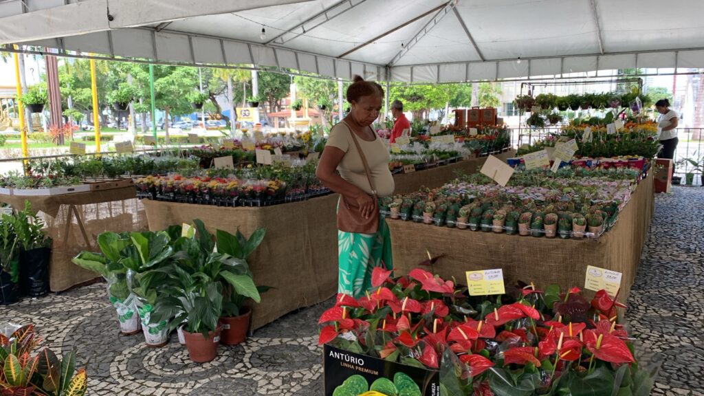 Feira de Flores de Holambra encanta Aracaju com mais de 200 espécies a partir de R$ 5