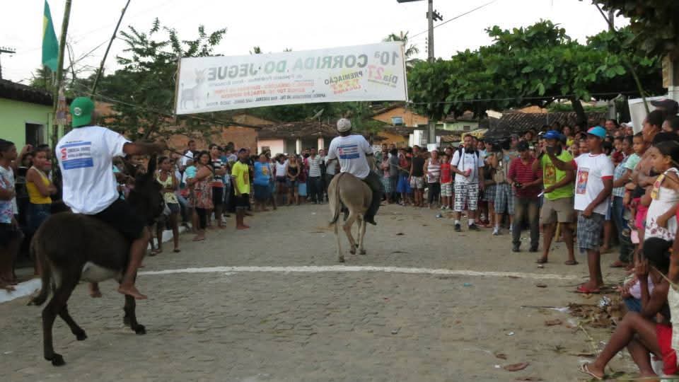 Corrida do Jegue do povoado Pedrinhas e declarada Patrimônio Cultural Imaterial de Areia Branca