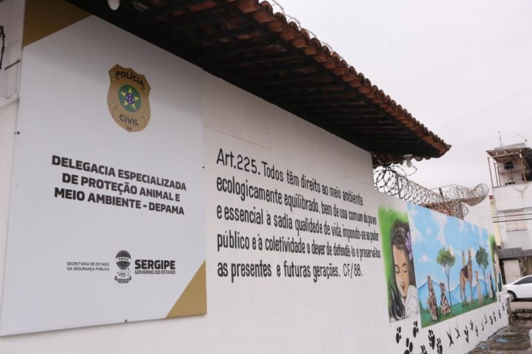 Mulher que utilizava cães para pedir dinheiro próximo ao shopping é presa maus-tratos 