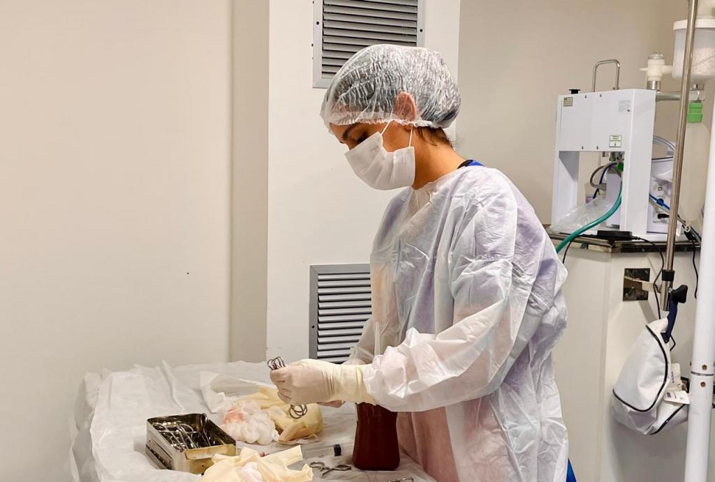 Prazo para credenciamento de clínicas veterinárias se encerra na sexta-feira, 22
