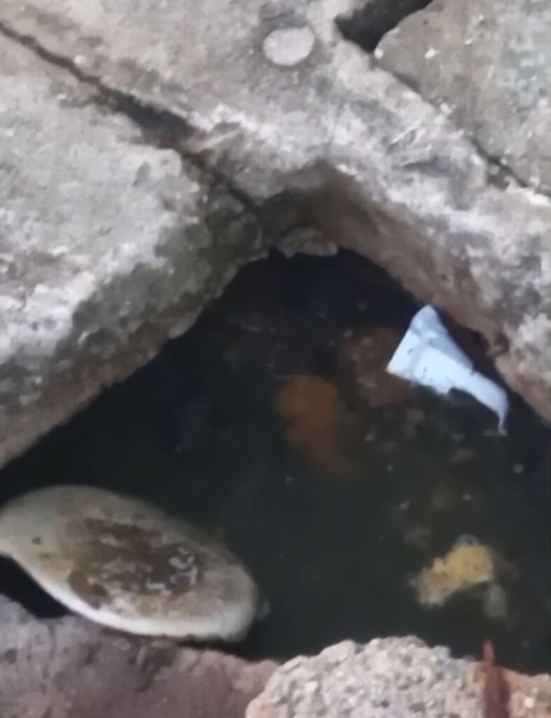 Moradores de Socorro denunciam esgoto estourado ao lado do Restaurante Popular Frei Miguel