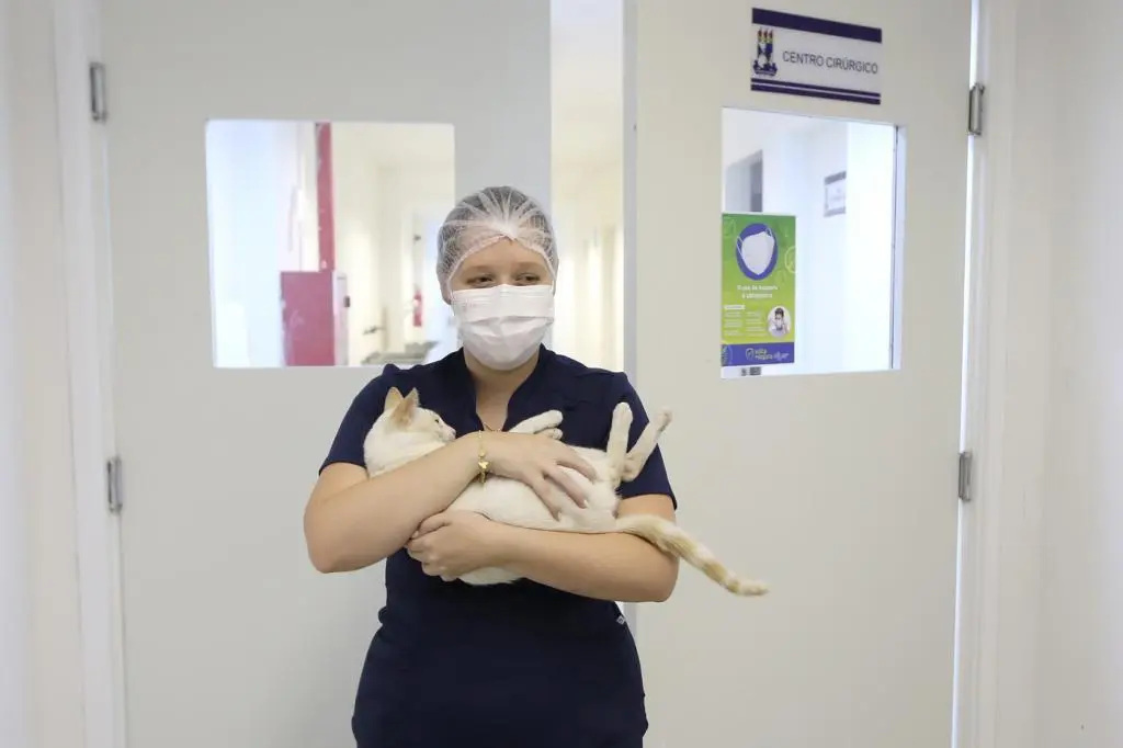 Aracaju credencia quatro clínicas veterinárias para o programa Aju Animal