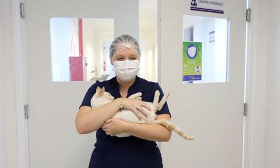 Prefeitura de Aracaju credencia quatro clínicas para ampliar atendimentos do programa Aju Animal