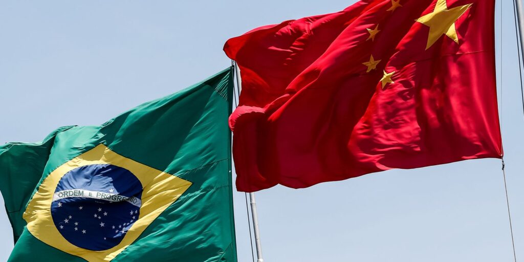 O “corte exótico” que vale US$ 6 mil a tonelada no mercado asiático