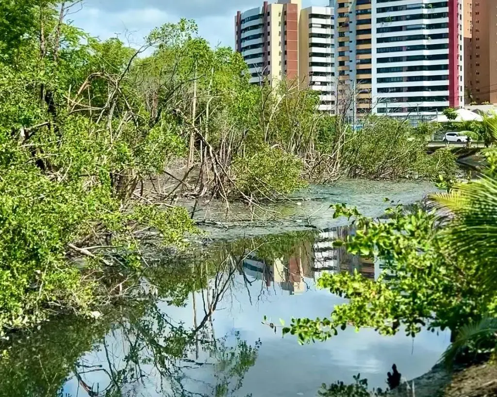 Fiscalizações identificam irregularidades em ligações de esgoto na região do Parque Tramandaí