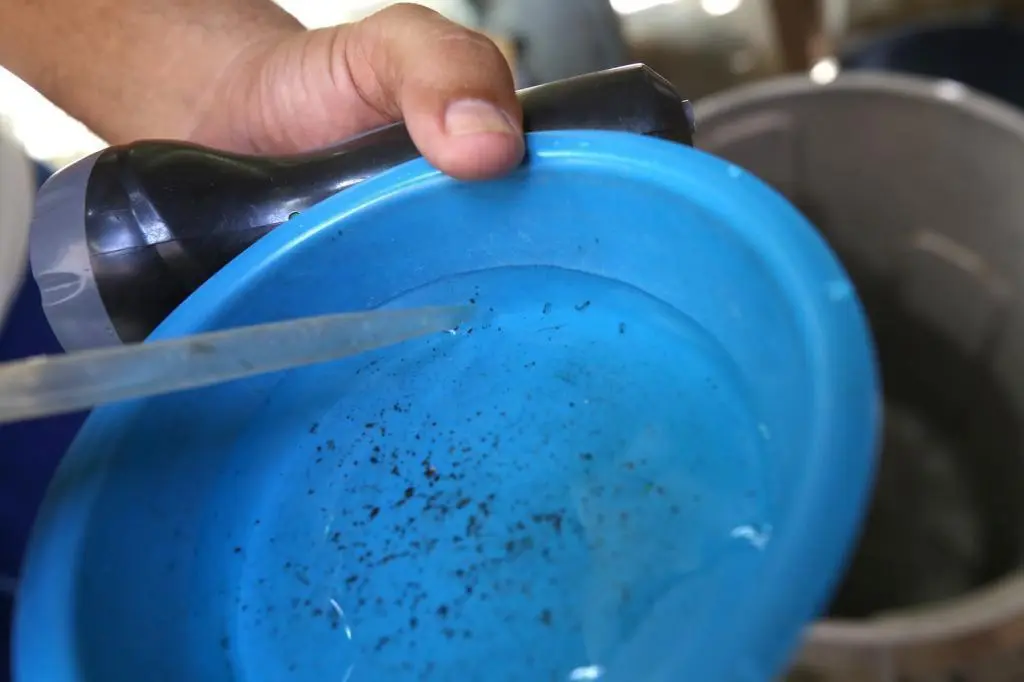 Quinto LIRAa aponta redução de 33% na presença do Aedes aegypti em Aracaju