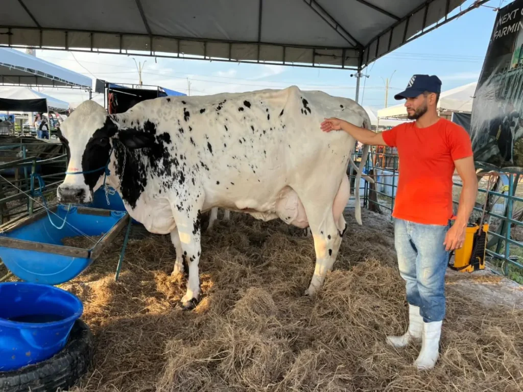 Engenheiros agrônomos impulsionam produção de leite no Alto Sertão de Sergipe