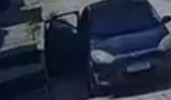 Polícia Civil indicia dupla por abandonar seis filhotes de gato em Aracaju