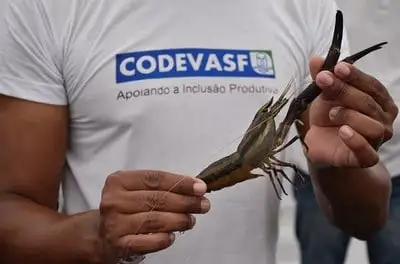 Codevasf apresenta ações de revitalização do rio São Francisco no Oceanário de Aracaju durante a Primavera dos Museus
