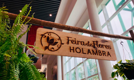 Ferreira Costa reúne feira de flores e exposição de motos com serviços de saúde gratuitos em Aracaju