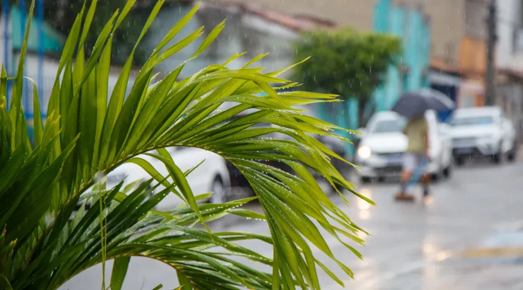 Sergipe emite alerta para chuvas acima de 50 mm e ventos de até 70 km/h no fim de semana