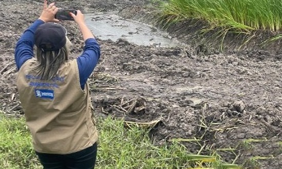 Adema interrompe obra irregular em riacho e prejudica abastecimento de água em Pedrinhas