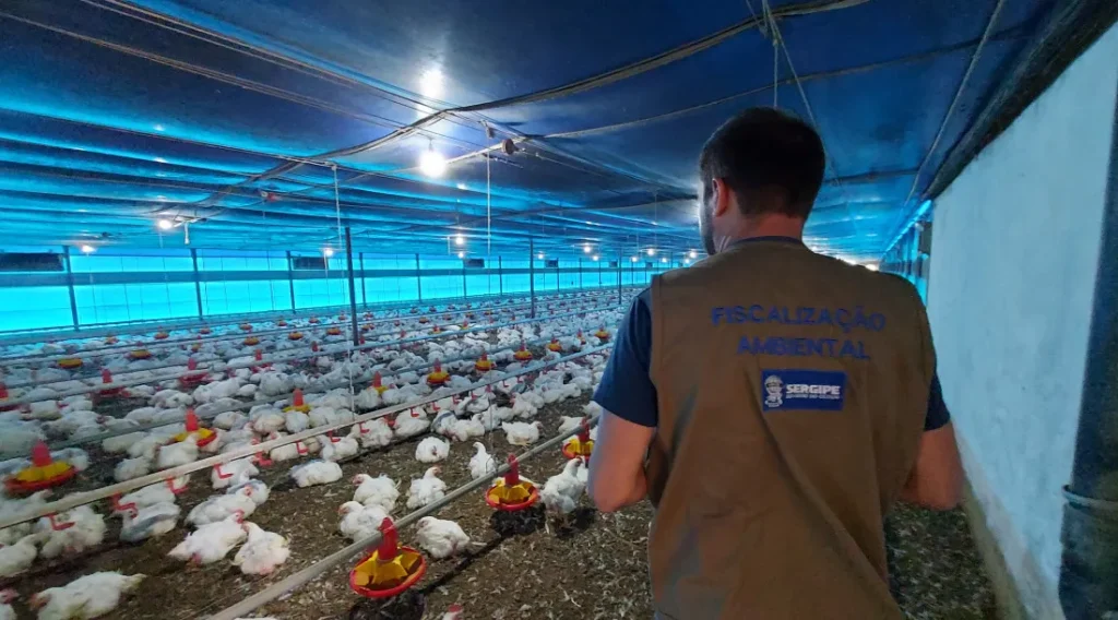 Adema fiscaliza pedido de licença ambiental de granja com 125 mil aves em Boquim