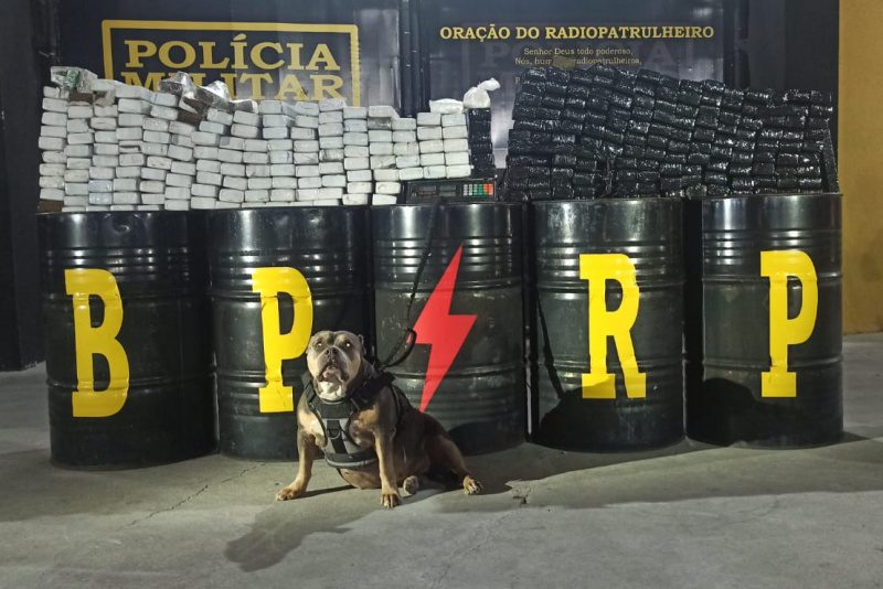 BPRp apreende mais de 200 kg de maconha  em Nossa Senhora do Socorro