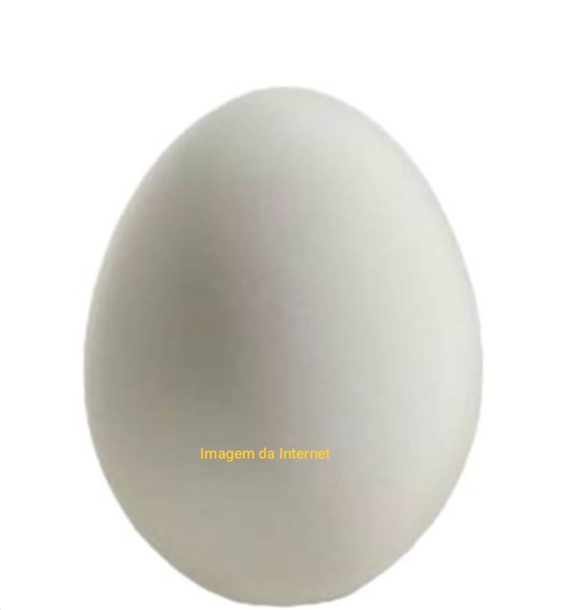 O SOFRIMENTO DE BRANCA