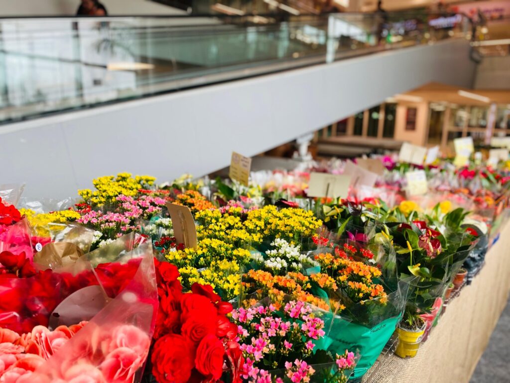 Duas rodas, saúde e flores: um fim de semana especial na Ferreira Costa
