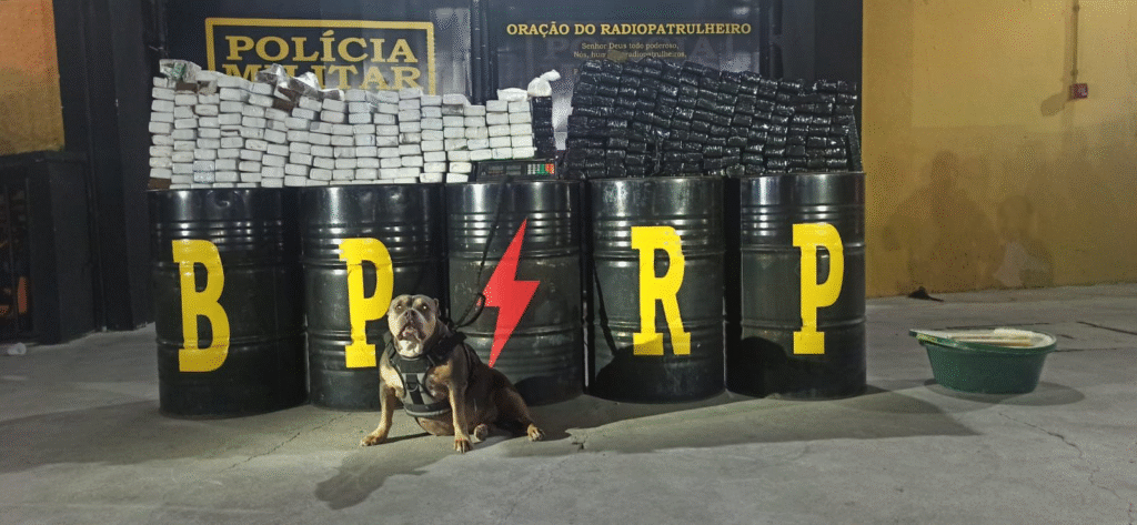 Polícia Militar apreende mais de 200 kg de maconha em Nossa Senhora do Socorro