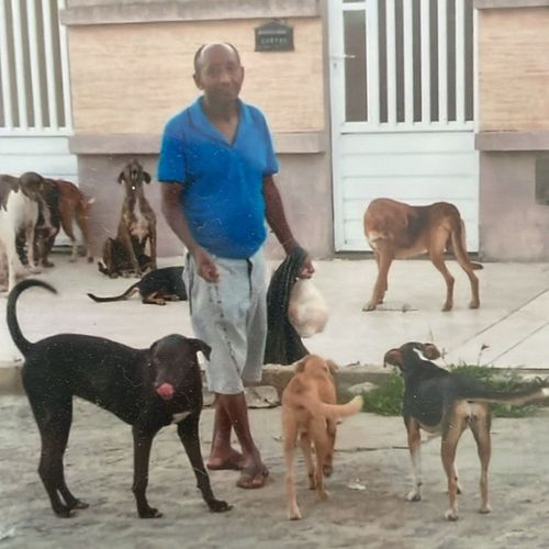 Morre idoso atropelado no Santa Mônica
