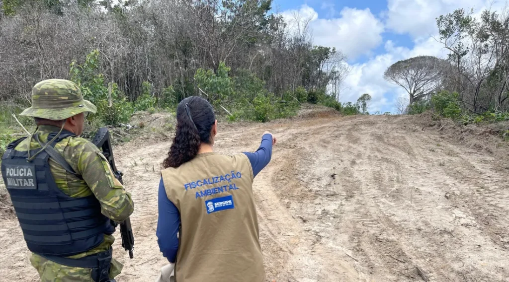 Adema multa 34 imóveis por desmatamento de 344 hectares na 8ª Operação Mata Atlântica em Pé