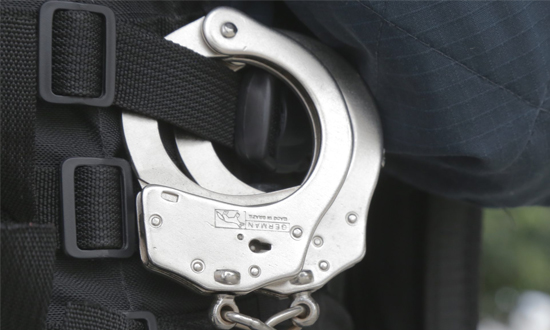 Homem é detido em Cristinápolis após manter 26 cães em condições precárias
