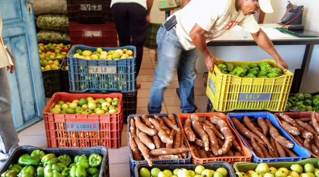 Coderse cadastra agricultores familiares e amplia acesso a crédito e programas governamentais em perímetros irrigados