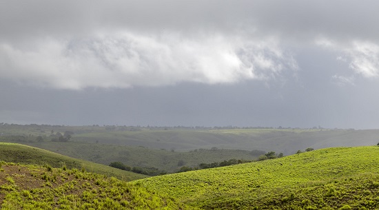 Temporal com granizo e ventania causa danos na zona rural de Simão Dias