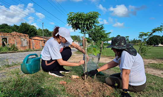 Mutirão em Itabaiana vai plantar mais de 110 mudas e reforçar educação ambiental