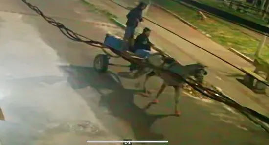 Banheiro químico é furtado em carroça no bairro Santos Dumont, em Aracaju, e recuperado pela Guarda Municipal