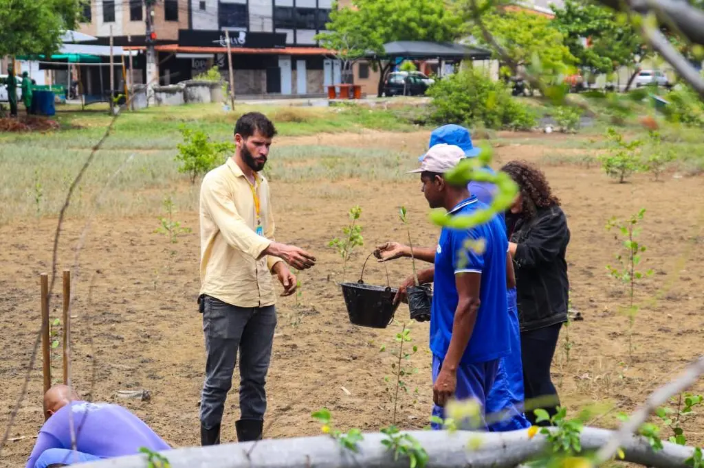 Aracaju planta 100 mudas de mangue branco no Coroa do Meio