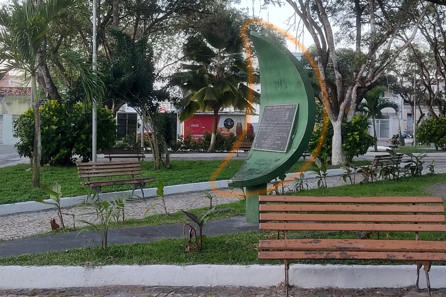Palma municipal