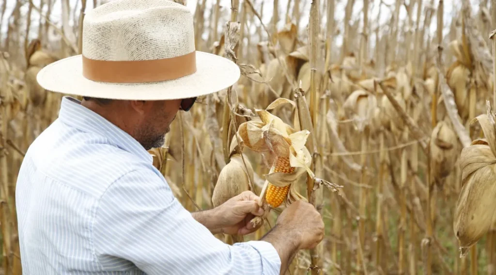 Agricultores de Estância recebem orientações da Conab sobre o Programa de Aquisição de Alimentos