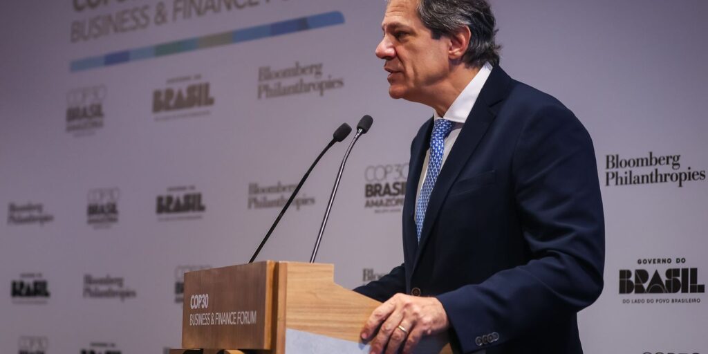 Haddad quer captar US$ 10 bilhões para fundo de proteção às florestas até o fim de 2026