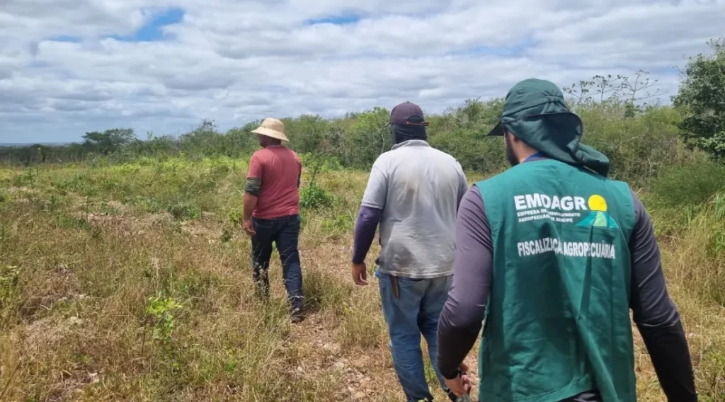 Emdagro reforça fiscalização do uso de agrotóxicos em Poço Redondo e Graccho Cardoso
