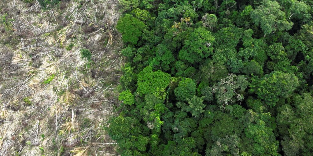 Municípios sofreram prejuízos de R$ 732,2 bilhões com desastres entre 2013 e 2024